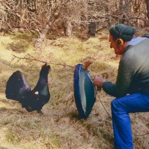 The Wildlife Discotheque Show