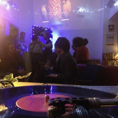 Shows - Wildlife Discotheque