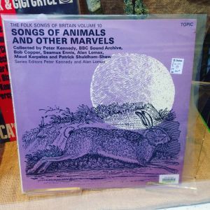 The Wildlife Discotheque Show