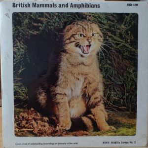 Wildlife Discotheque
