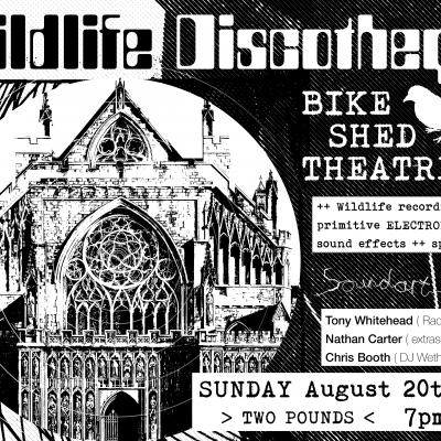 Shows - Wildlife Discotheque